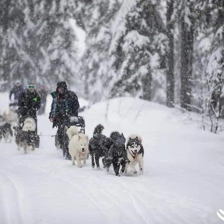 Le Chamois D'or, Ussim 3*